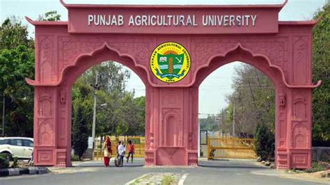 Punjab Agricultural University .